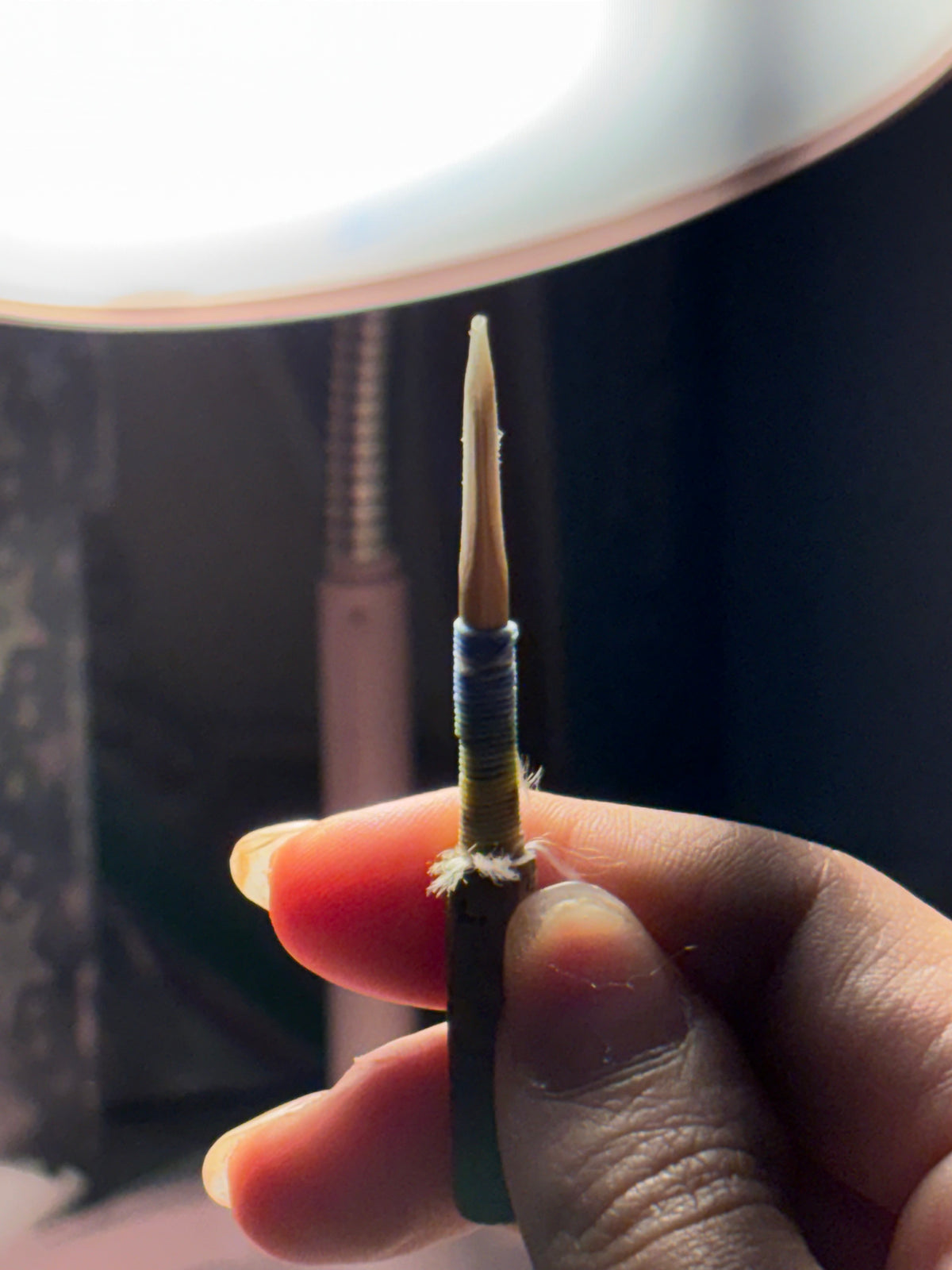 Oboe Reed