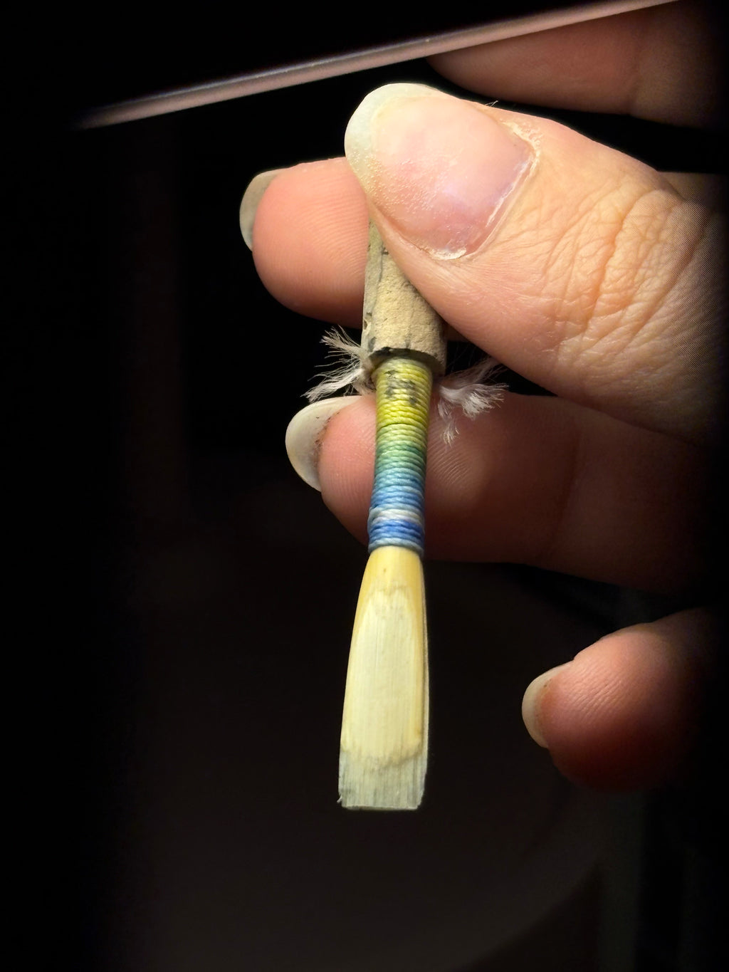 Oboe Reed