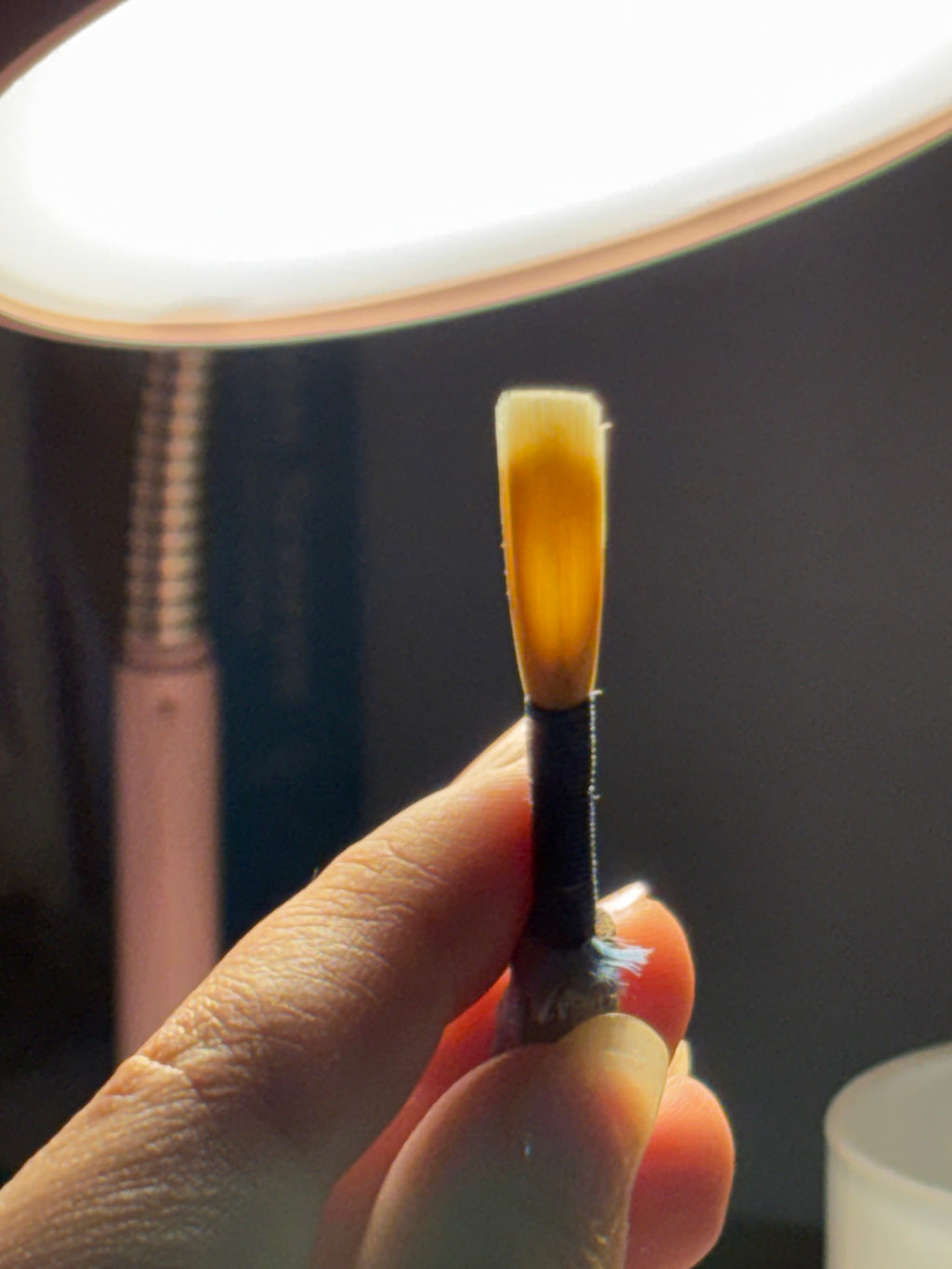 Oboe Reed