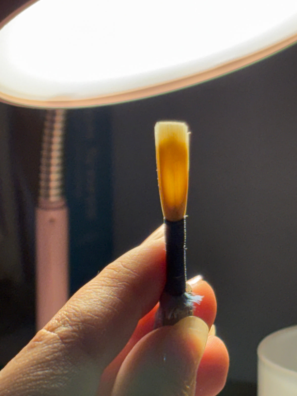 Oboe Reed